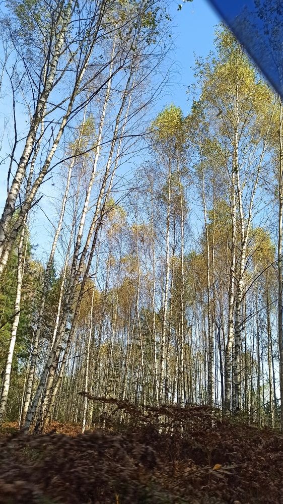 Photograph by Валерия Сопова