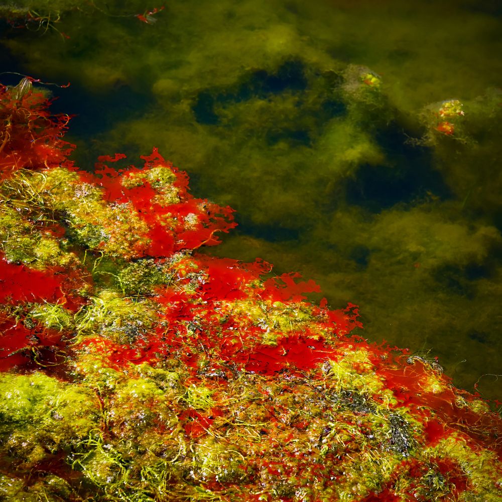 Photograph by Sanj Natsagdorj