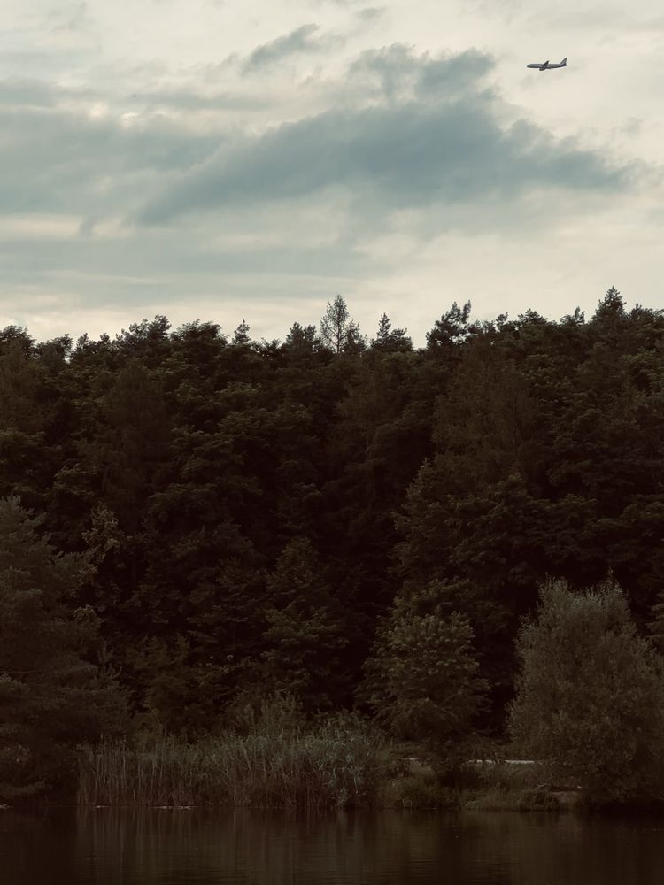 Фотография автора Swetlana Brenitsch