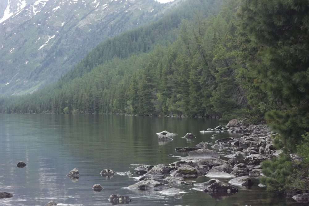 раннее утро / an early morning