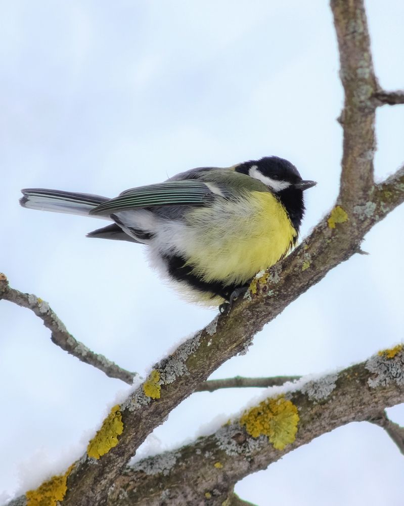Фотография автора Евгения Никишина