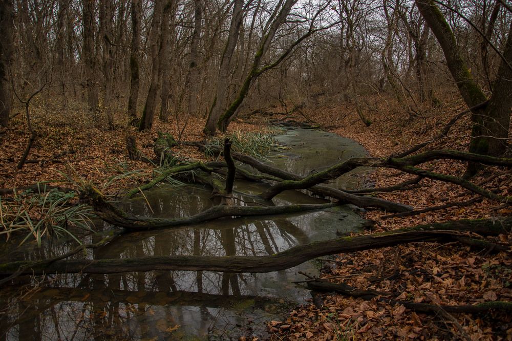Photograph by Забудская Наталья