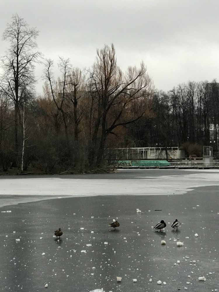 Photograph by Татьяна Шибанова