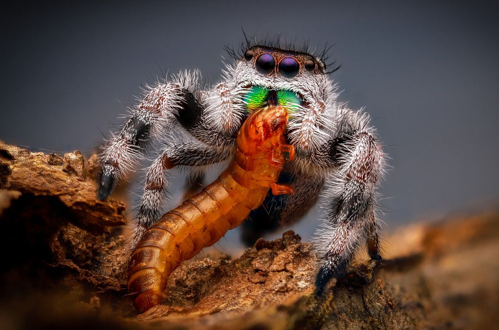 Photograph by Anh Nguyen