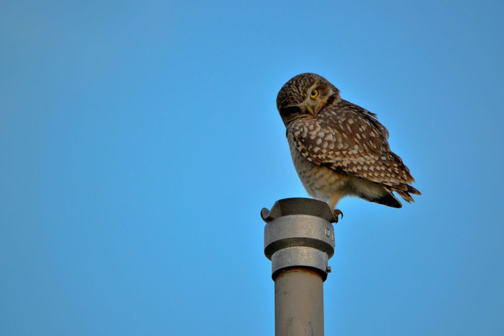 Фотография автора Jorge Martinez