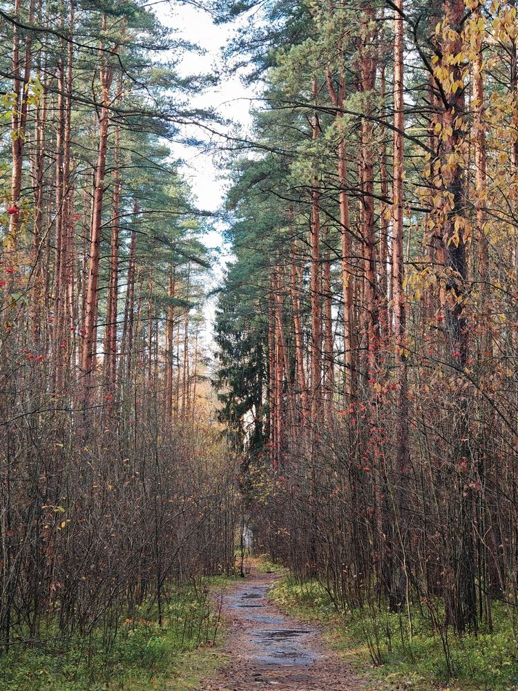 Photograph by Евгения