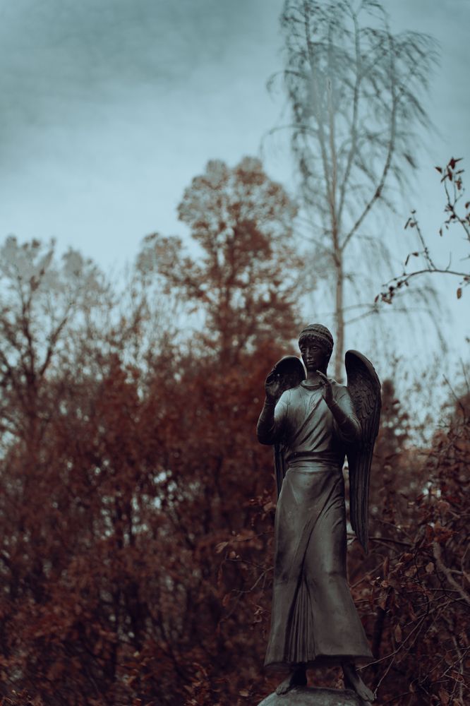 Photograph by Nikolay Serfoord