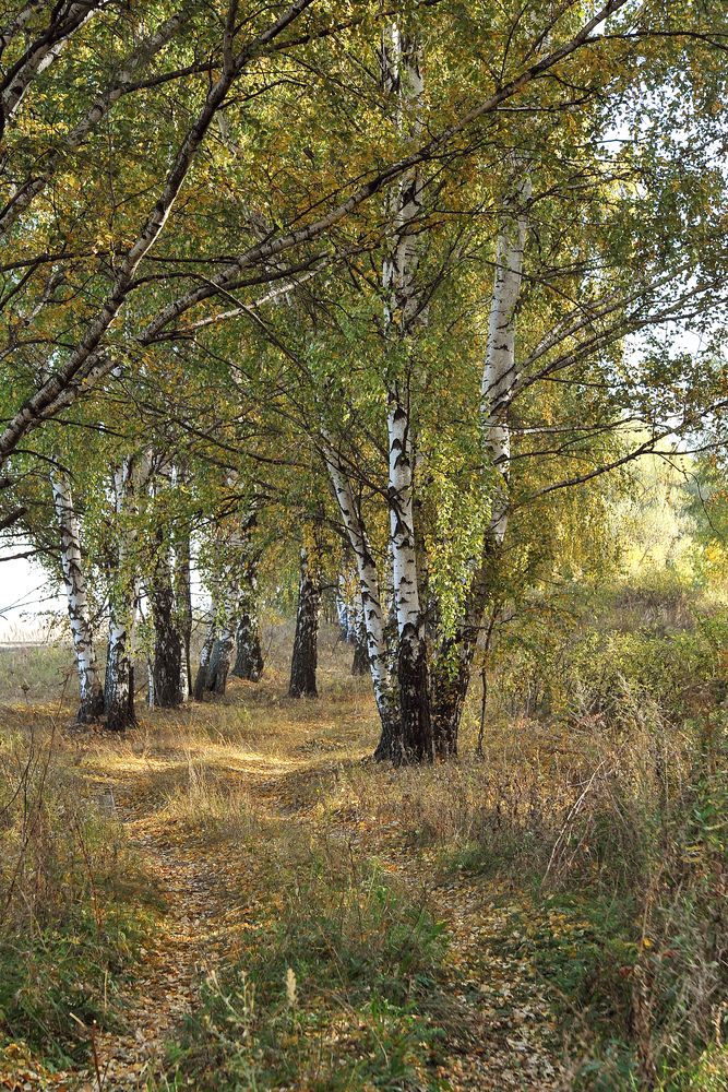 Photograph by Cергей Абакумов