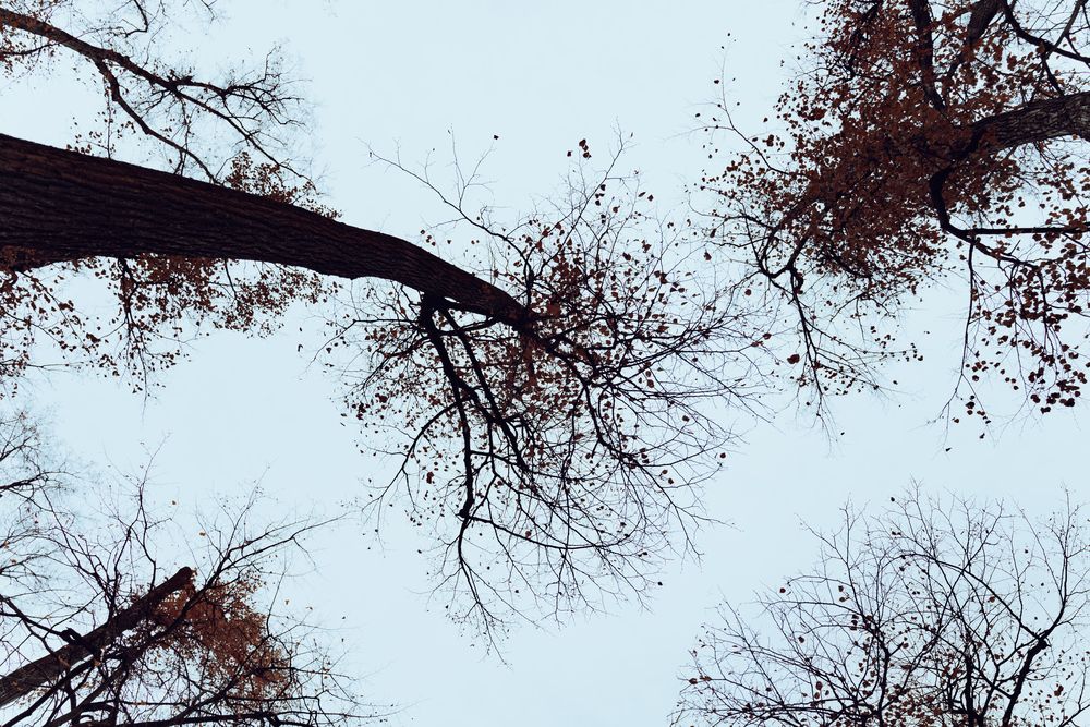 Photograph by Nikolay Serfoord