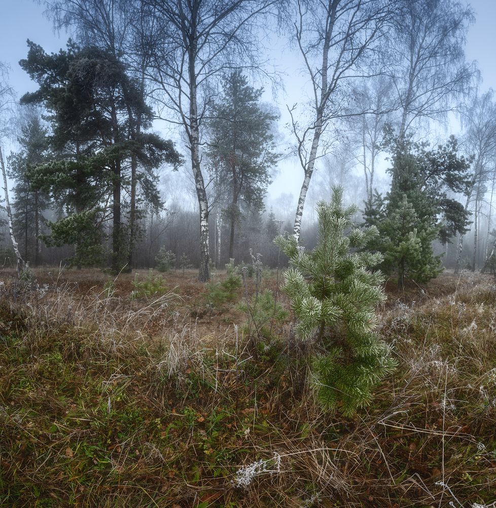 Photograph by Андреев Николай