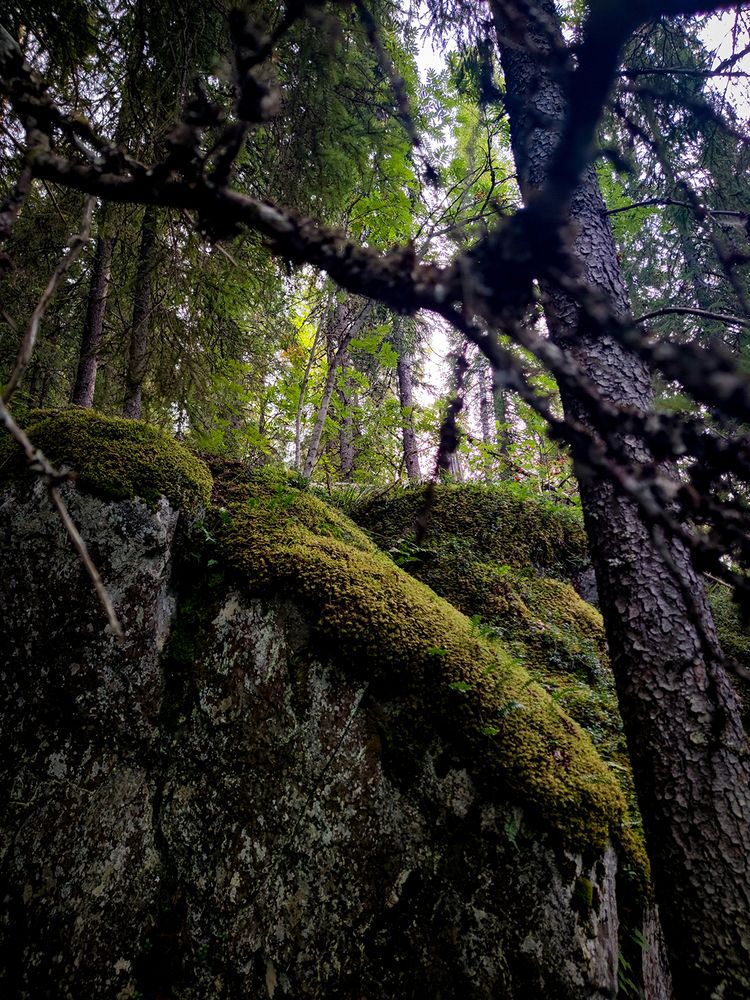 Photograph by Анна Аксенова