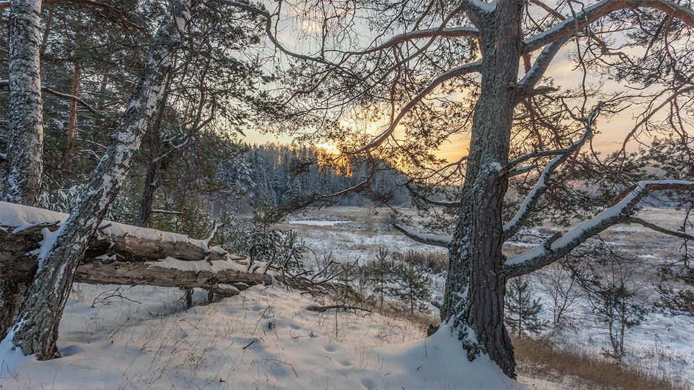 Photograph by Андреев Николай