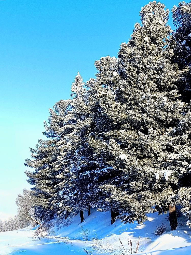 Photograph by Лариса Лысенко