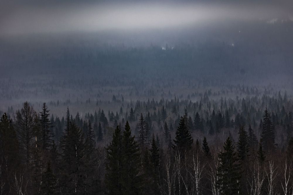 Photograph by Sergey Vatta