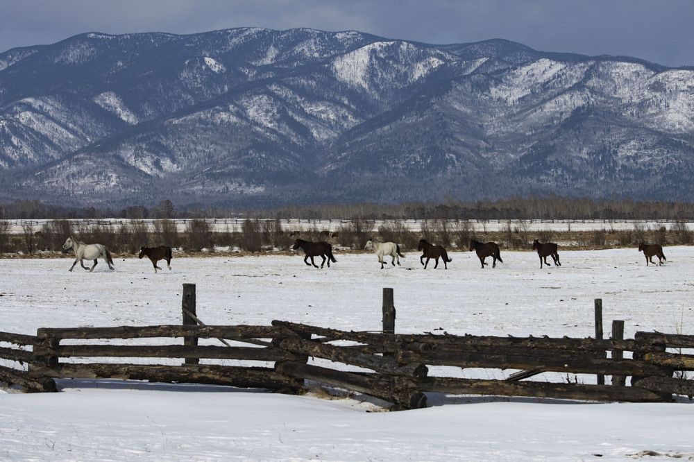 Photograph by Sergey Vatta