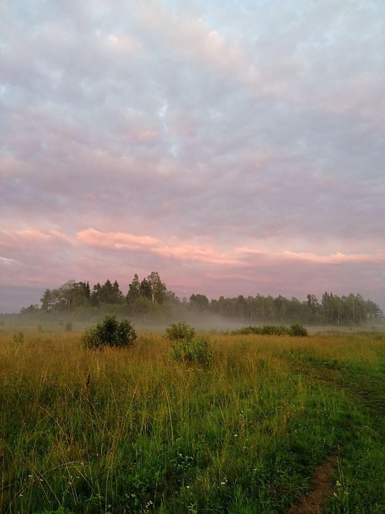 Photograph by Ирина