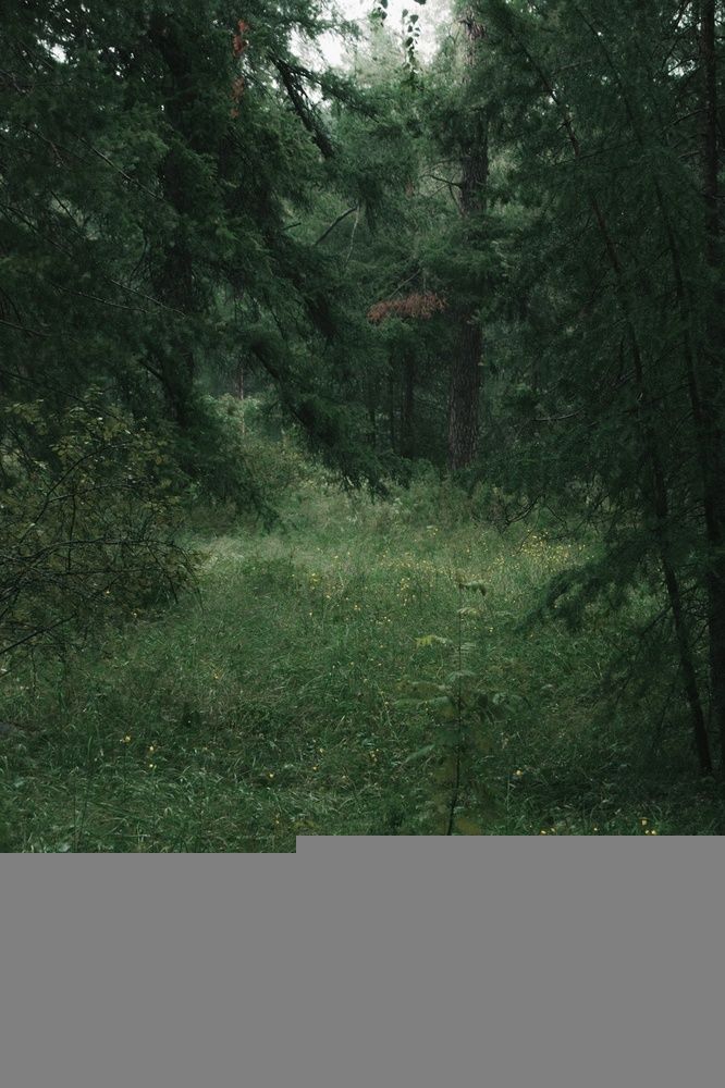 Фотография автора Александр Крапачев