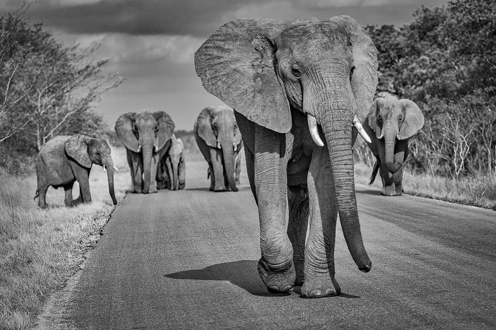 Photograph by Владимир Остапенко