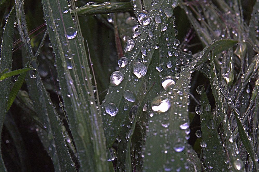 Photograph by Сергей Рапопорт