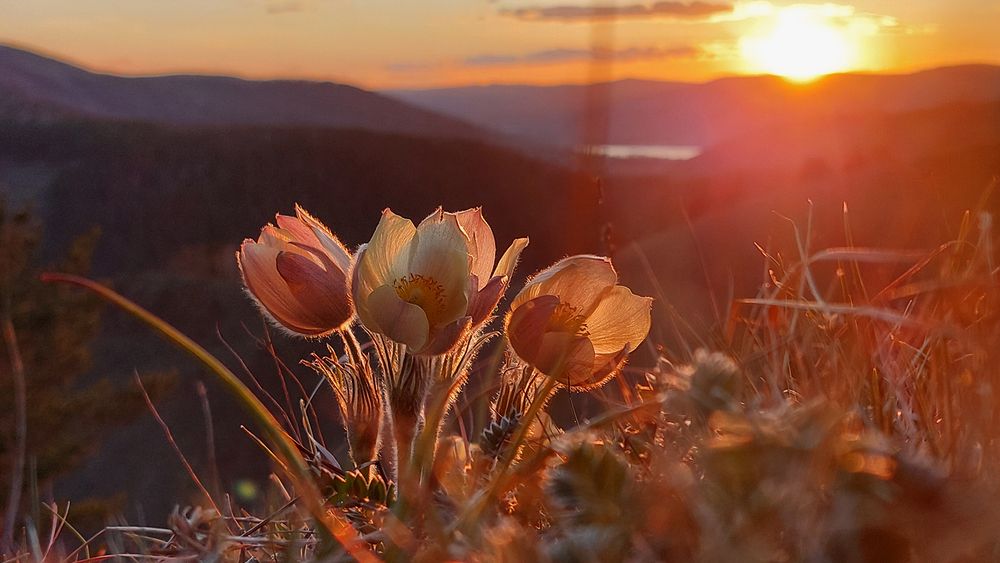 Photograph by Багурский Алексей