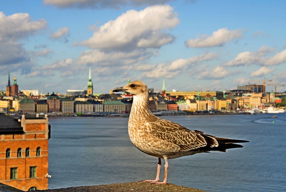 Photograph by Gennadiy Slezkin