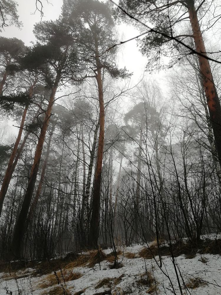 Photograph by Ирина