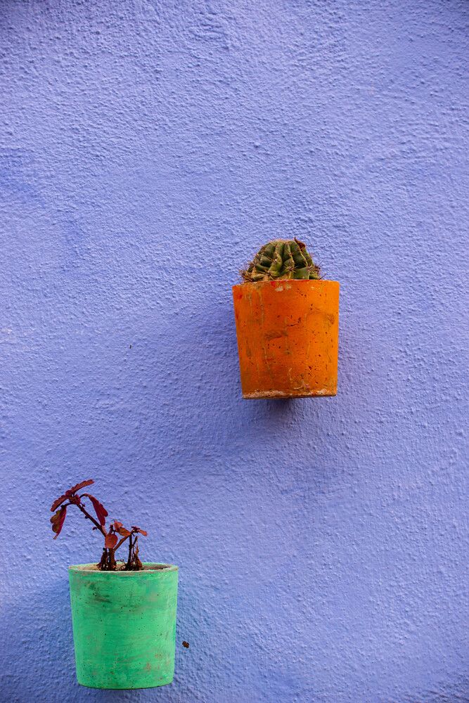 Яркие пятна жизни