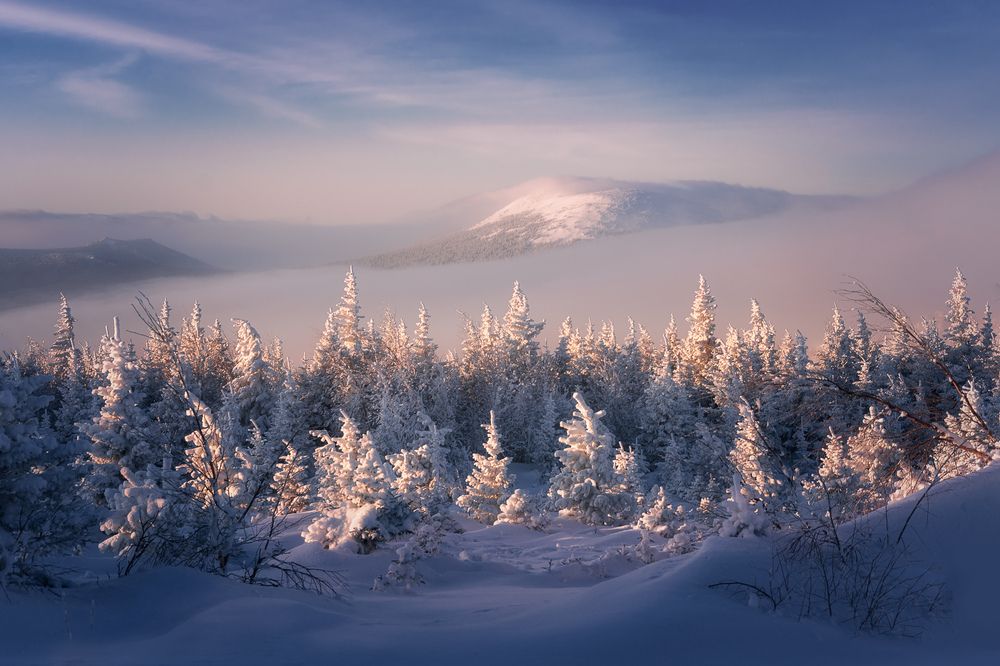 Зимний хоровод