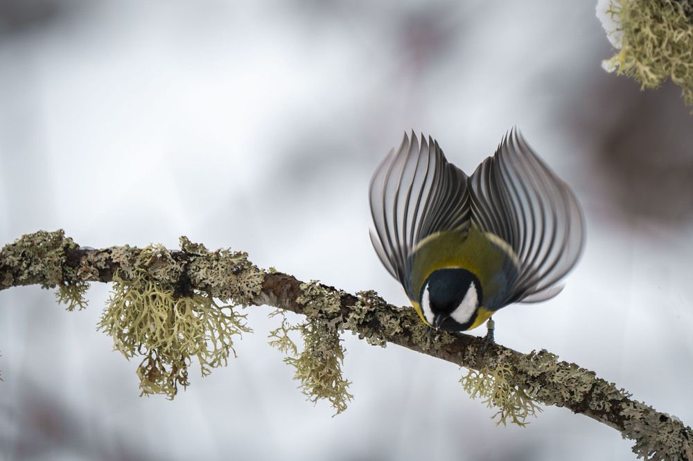 Photograph by Ирина Петрова