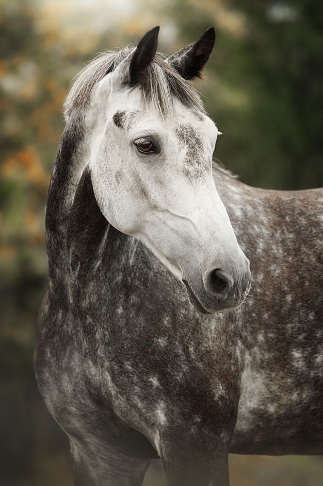 Photograph by Дарья Ералева