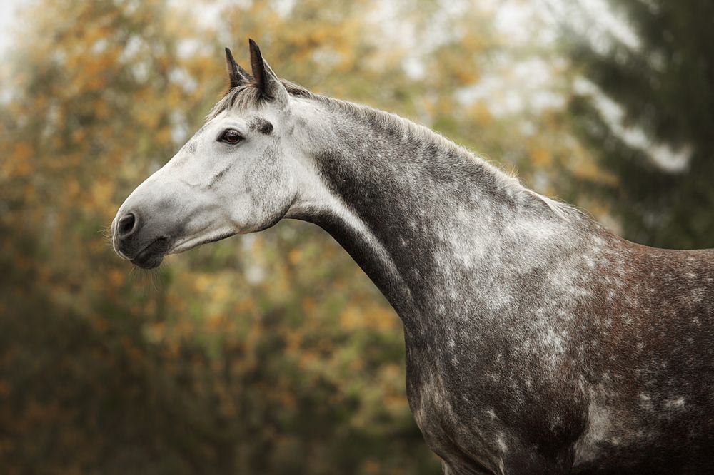 Photograph by Дарья Ералева