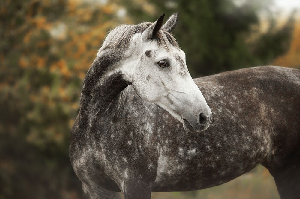 Photograph by Дарья Ералева