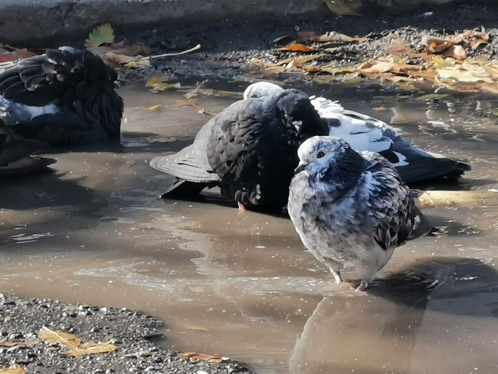 Photograph by Светлана Смирнова