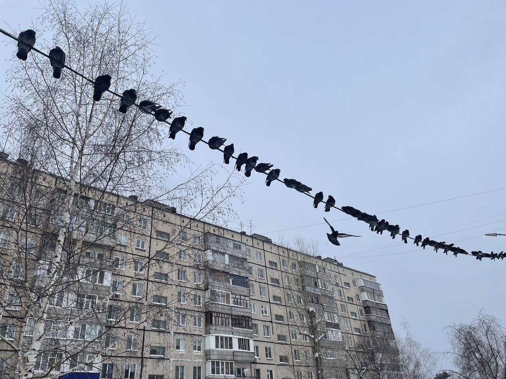 Photograph by Светлана Кавказская