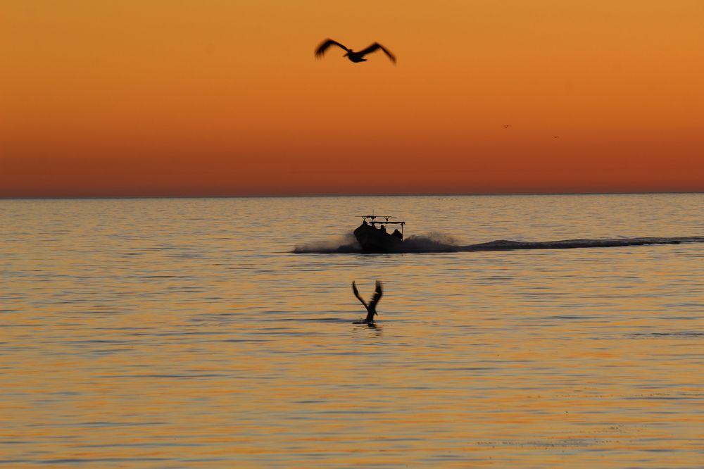 Photograph by Jorge Alberto García Mondragón