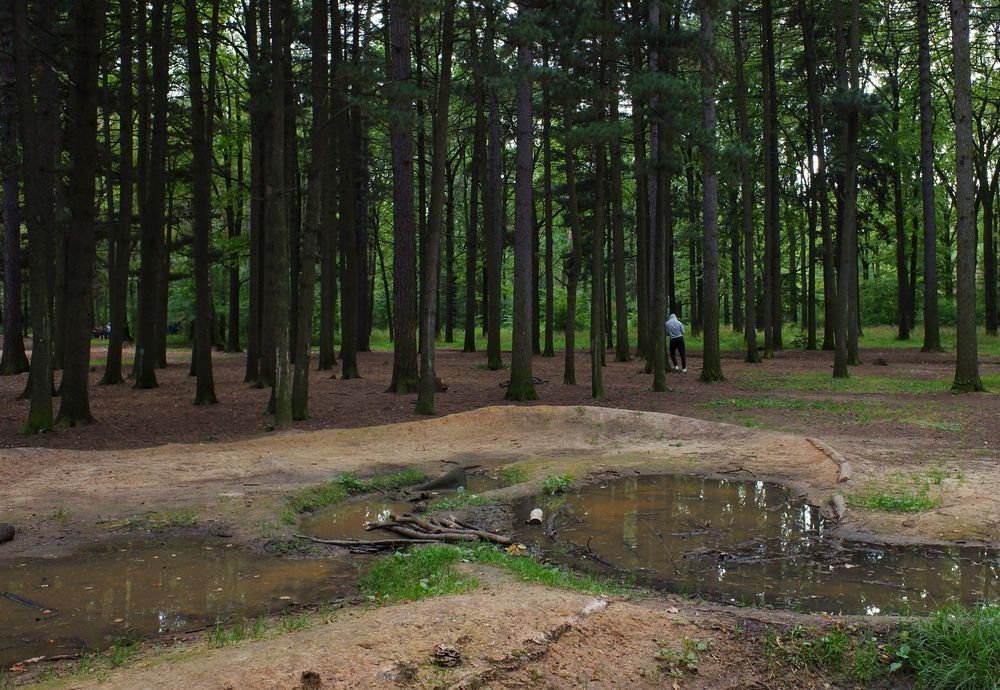 Photograph by Виктория Горельченко