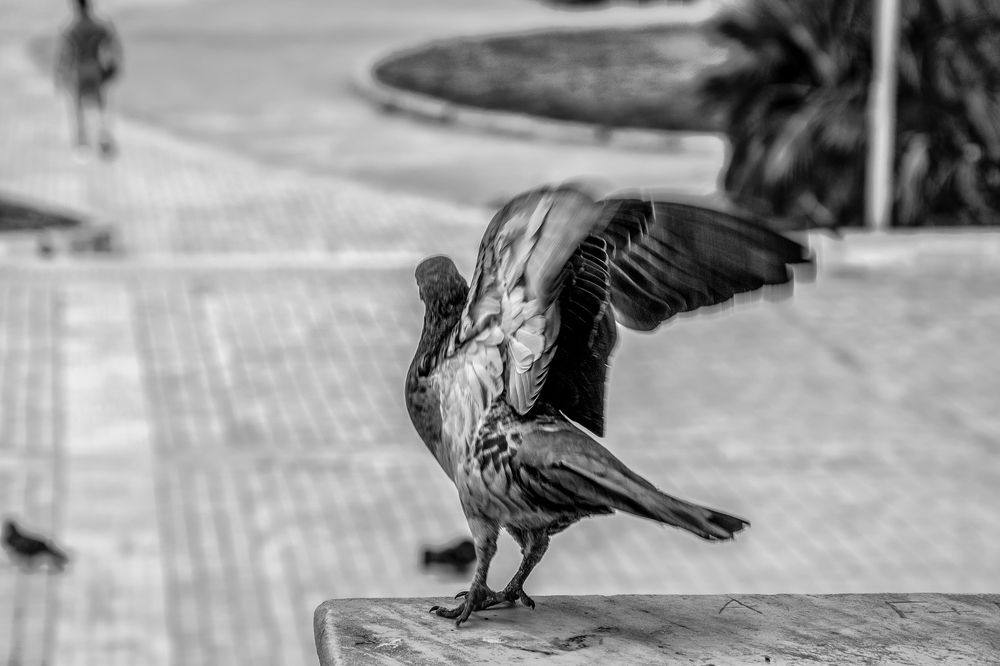 Photograph by Antonis Giakoumakis