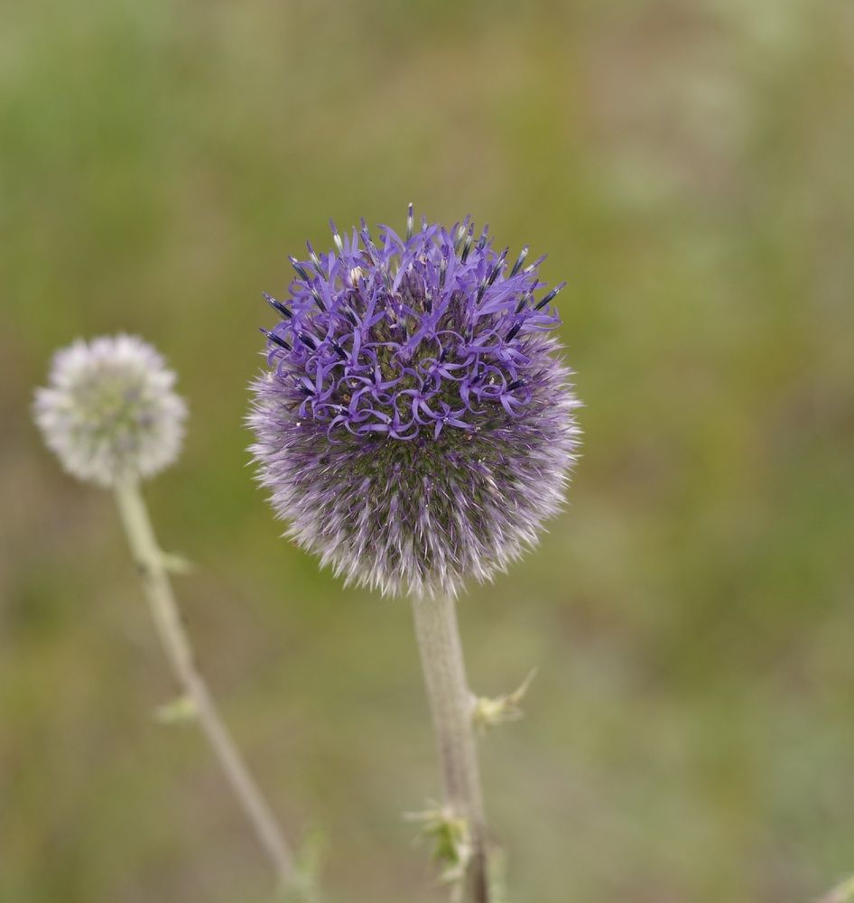 Photograph by Андрей