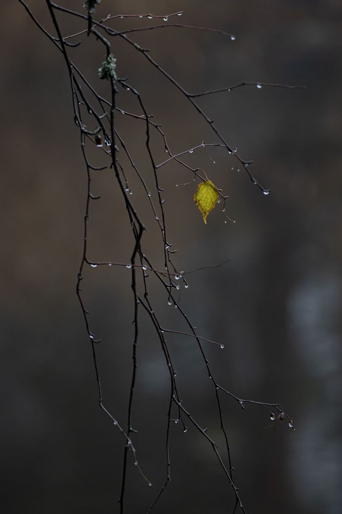 Photograph by Юлия Куликова