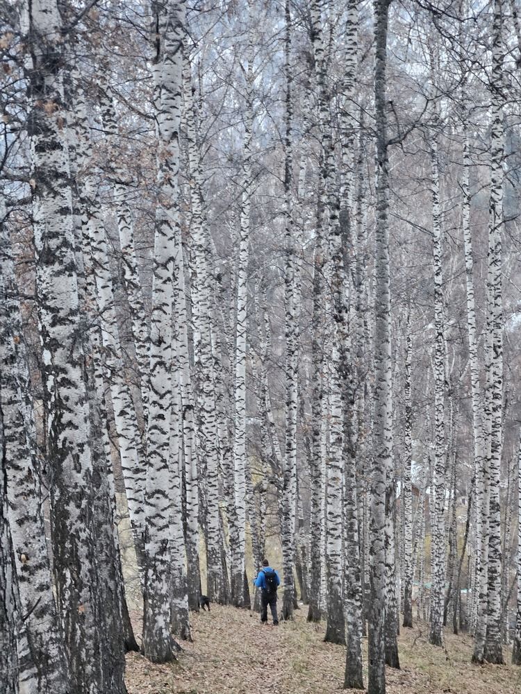 Photograph by Эльвира