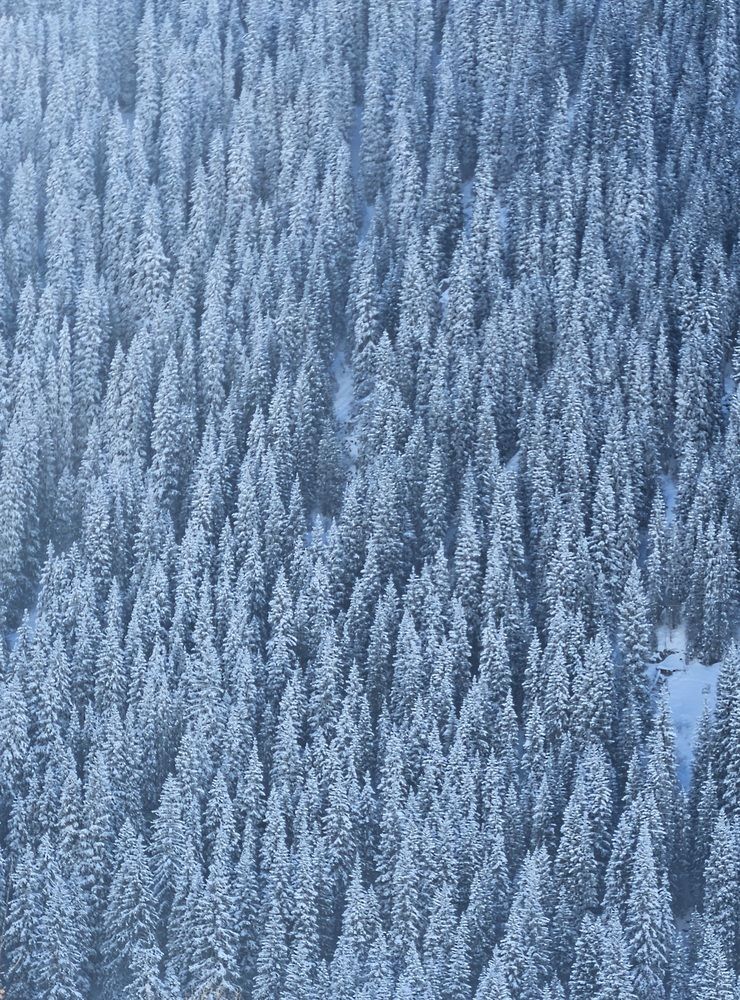 Алматы. Японская дорога