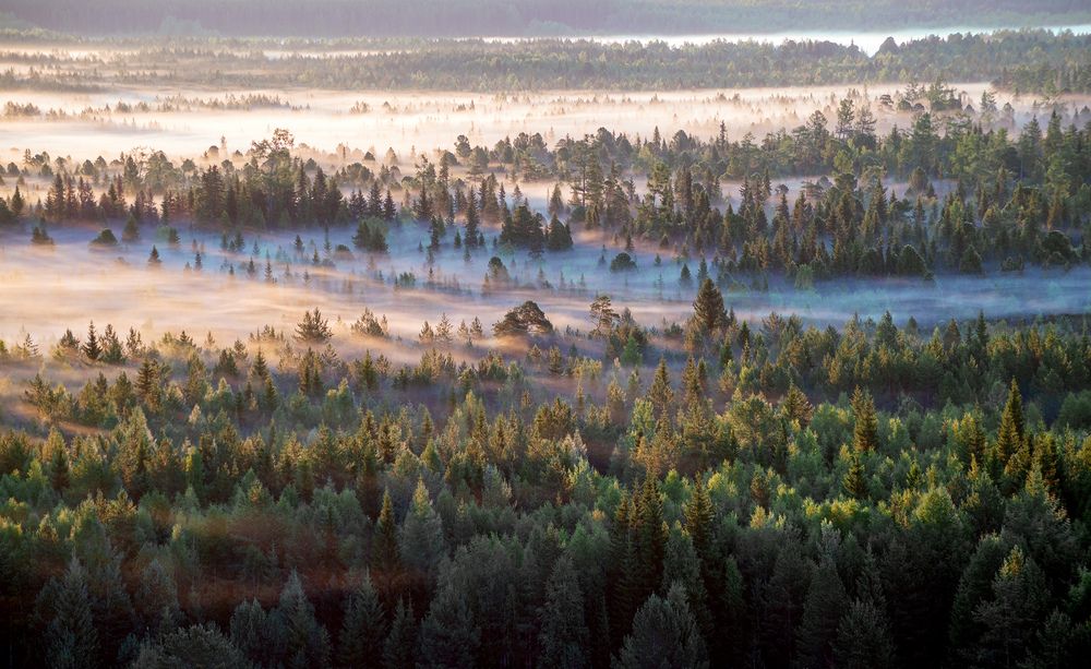 Photograph by Воинков Виктор