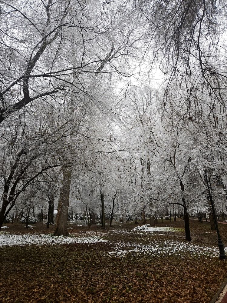 Photograph by Эльвира