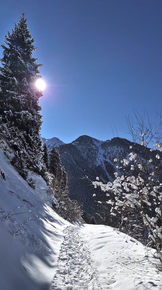 Photograph by Эльвира