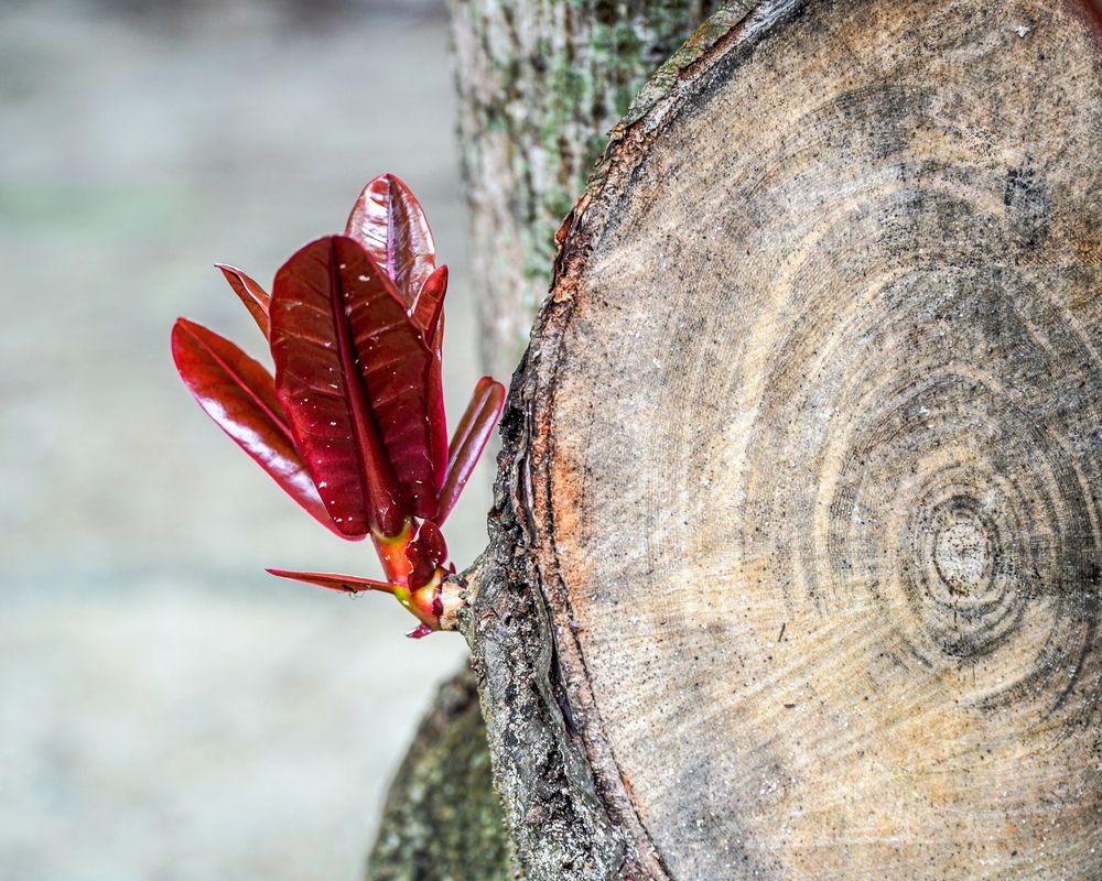 А жизнь продолжается.