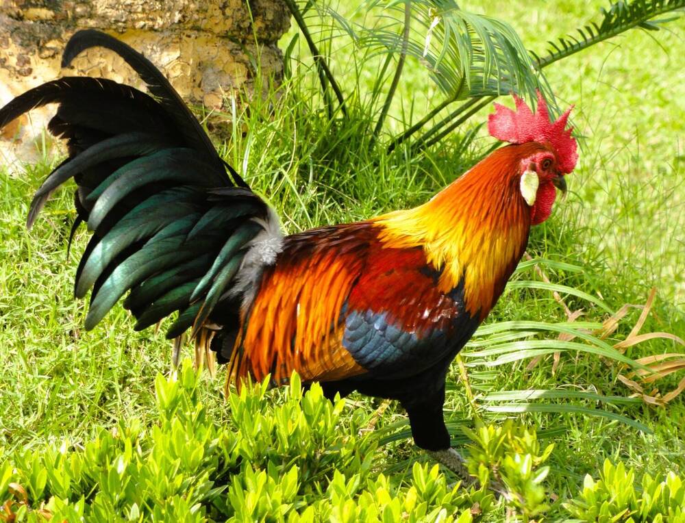 Photograph by Светлана Рубцова