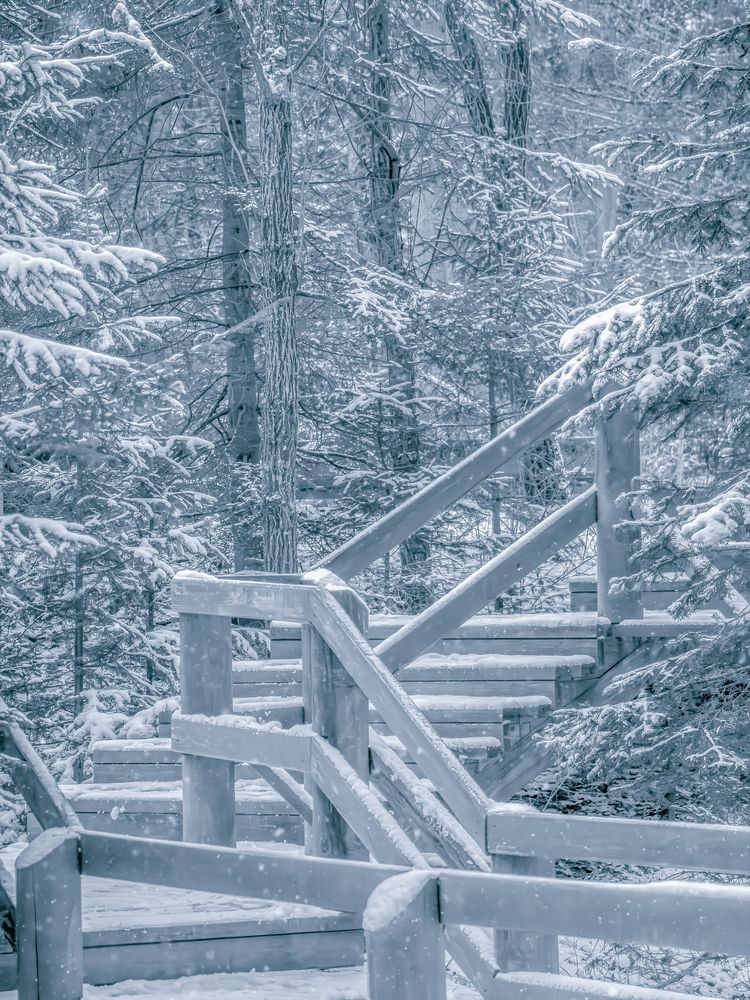 Первый снег в национальном парке