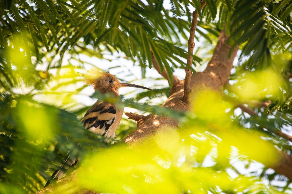 Photograph by Ольга