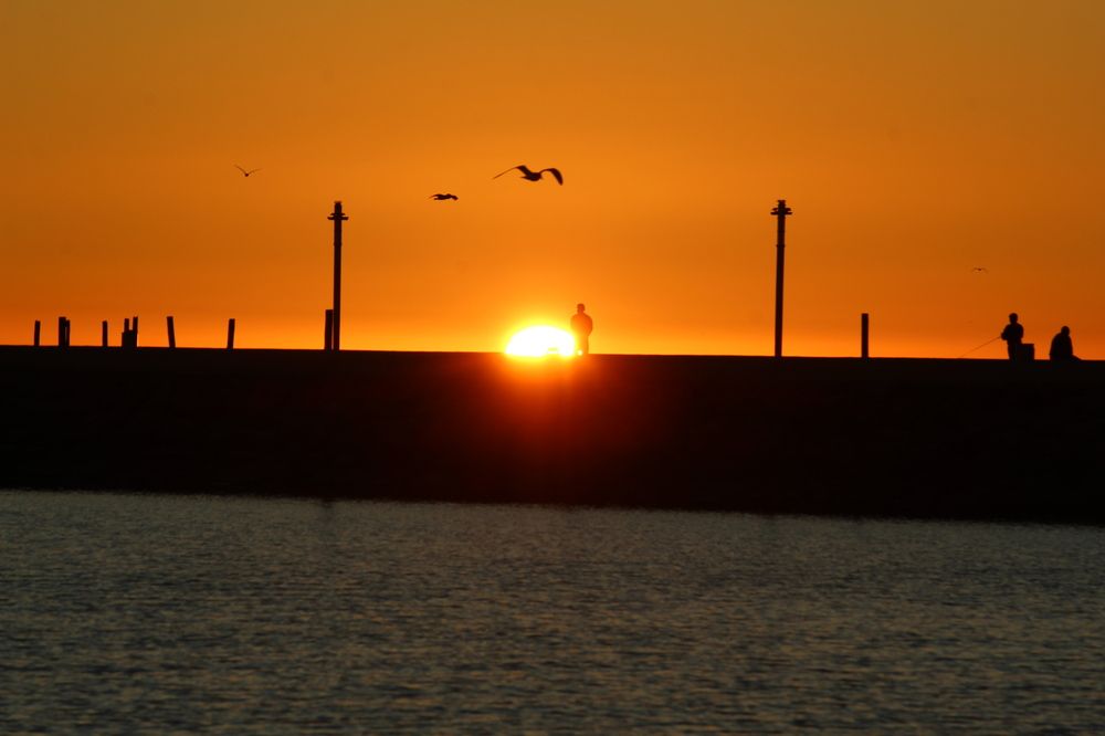 Photograph by Jorge Alberto García Mondragón