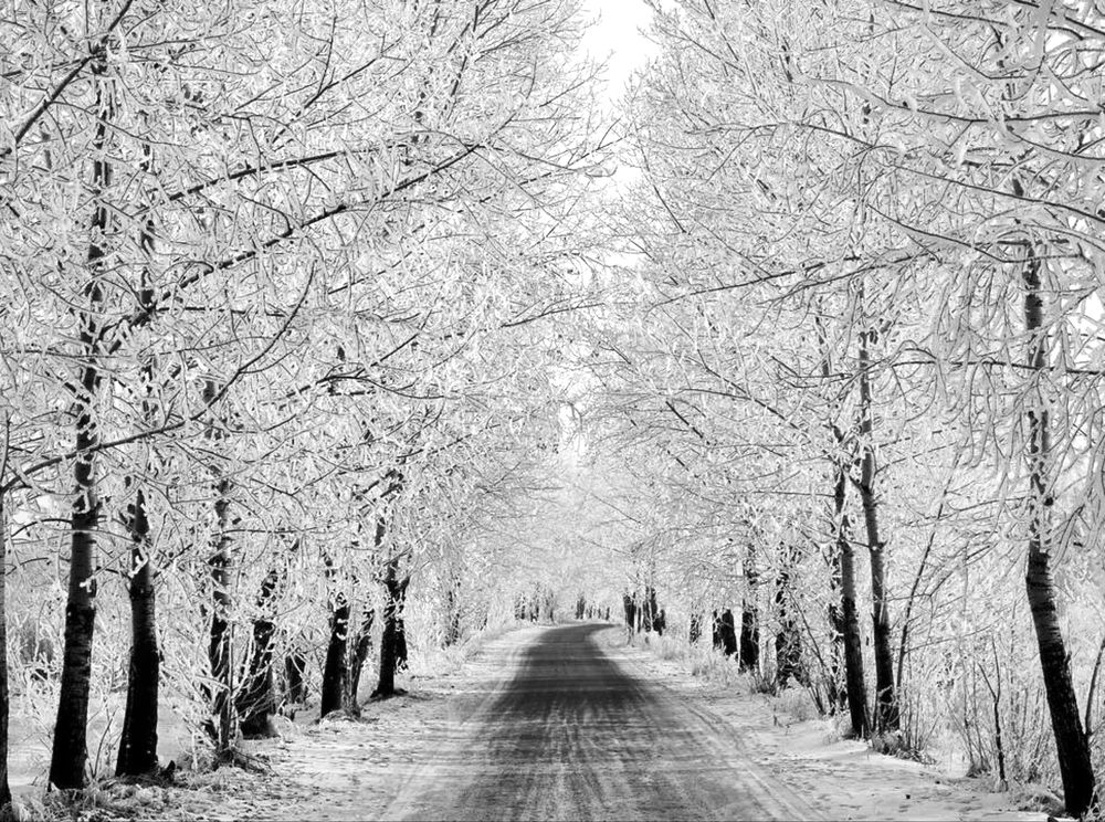 Photograph by Александр Лопатин